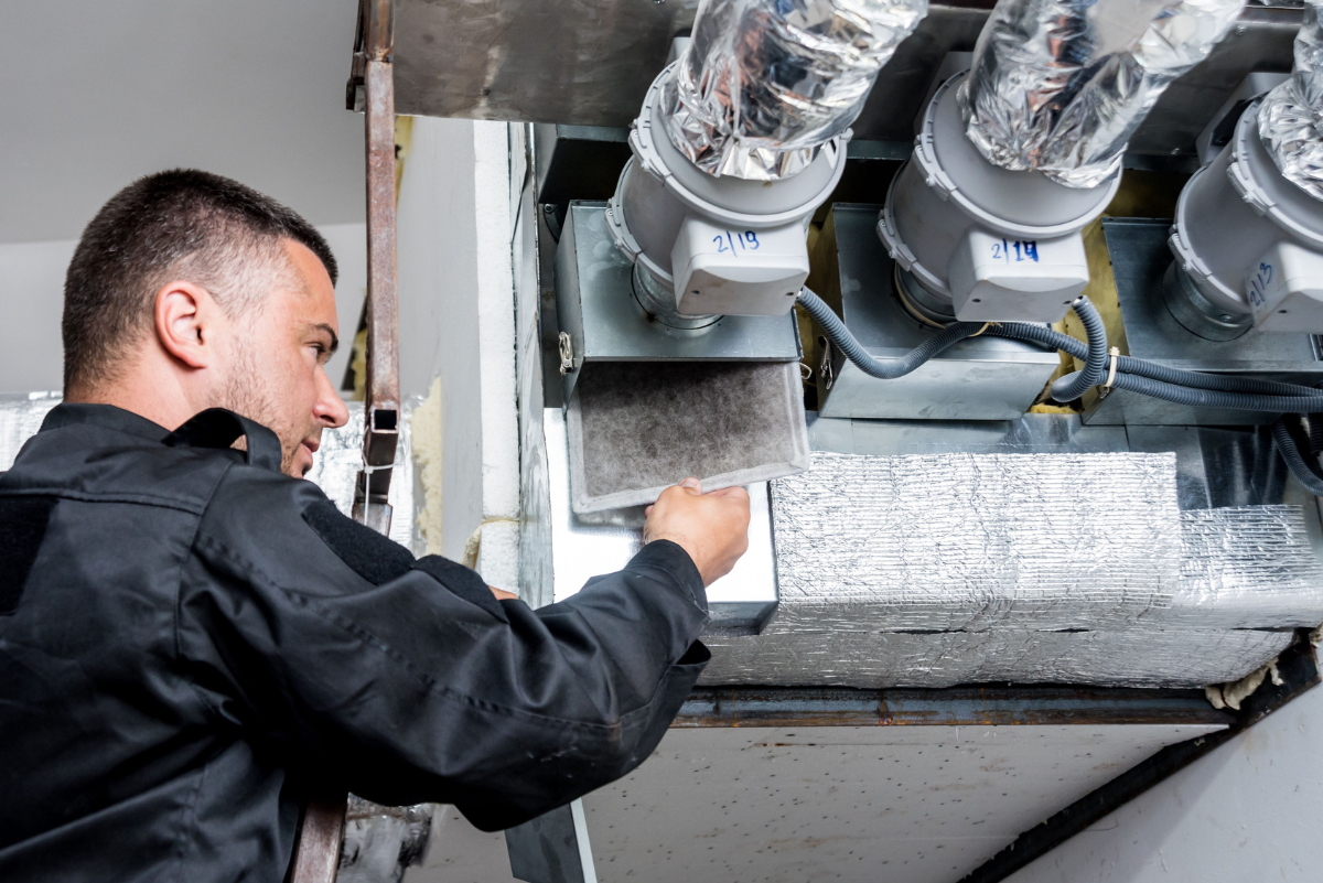 Untitled design (11)