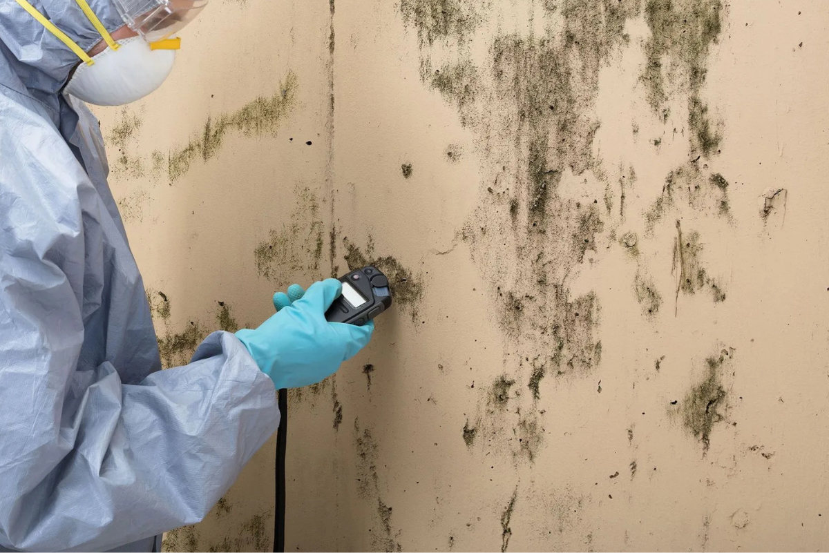 Untitled design (16)