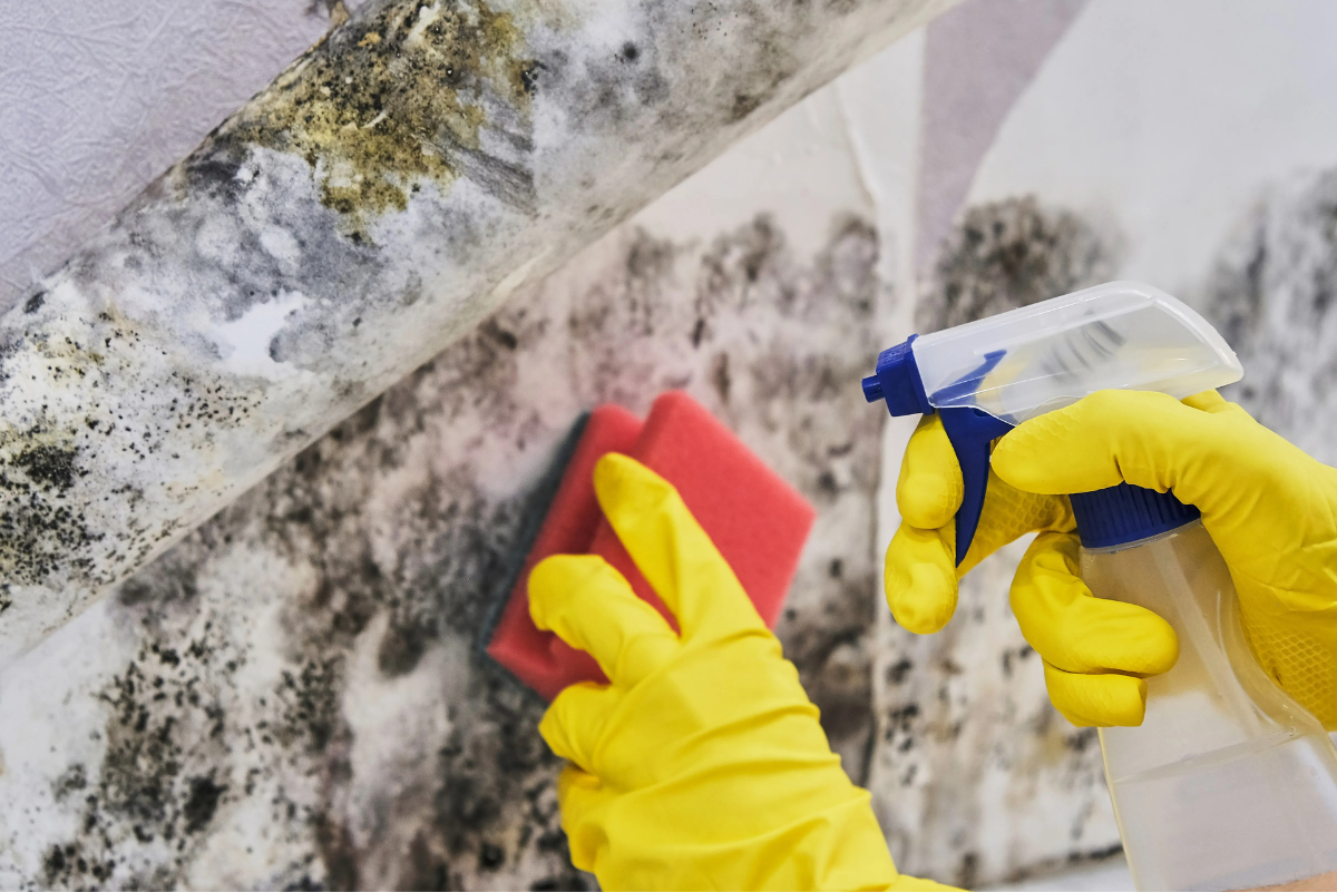 Untitled design (17)