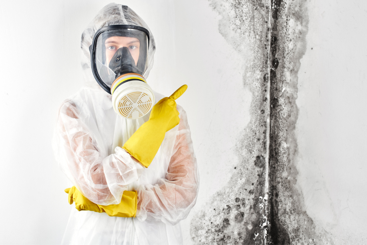 Untitled design (18)