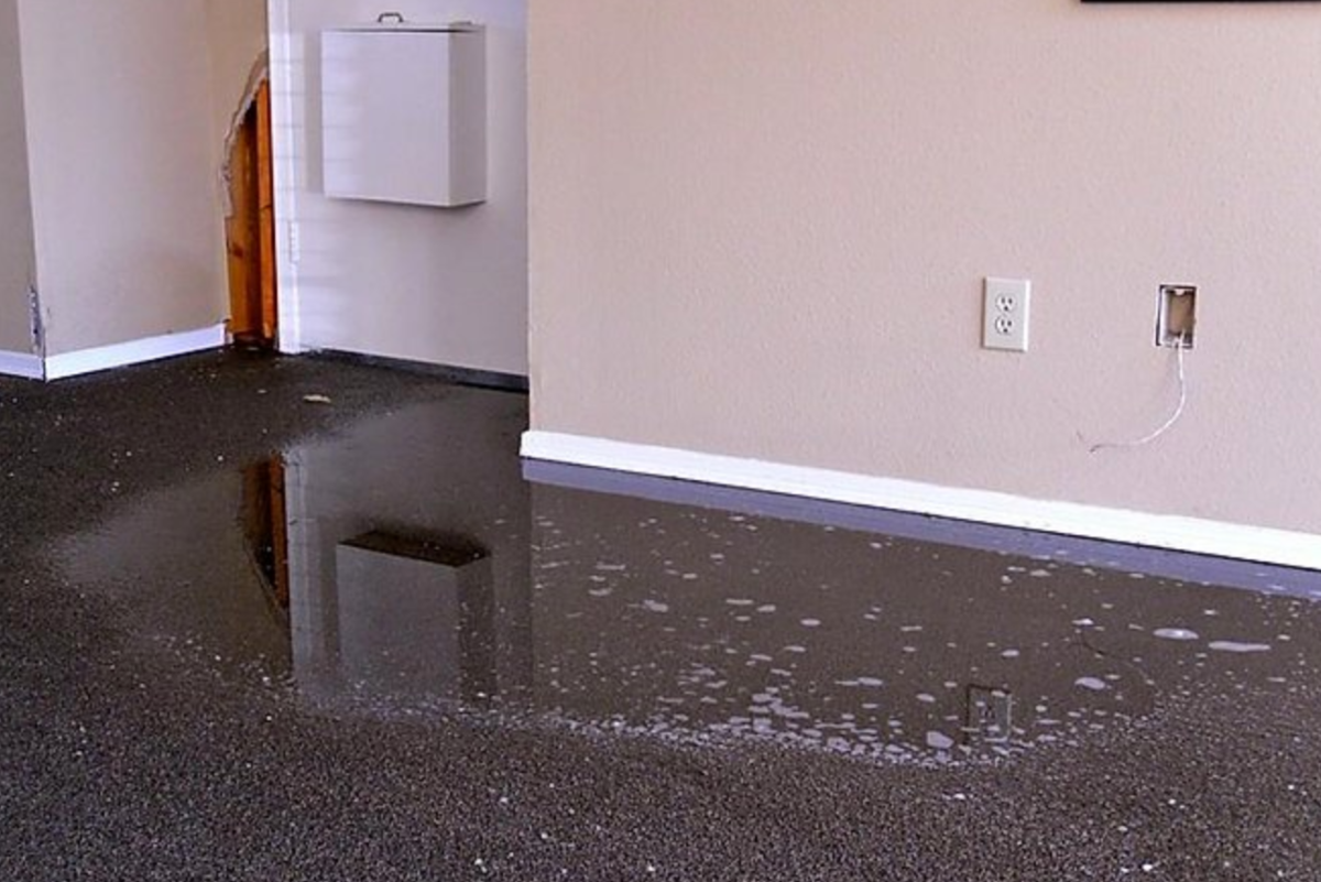 Untitled design (23)