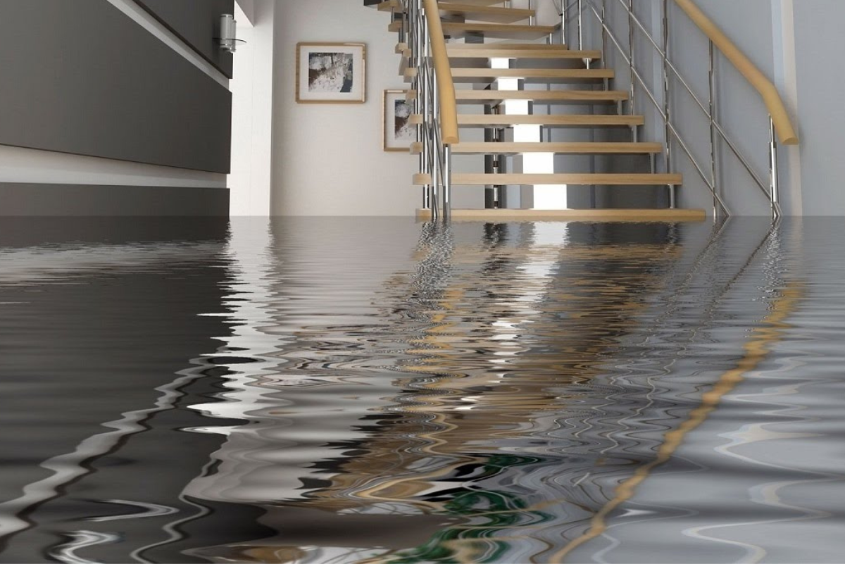 Untitled design (24)